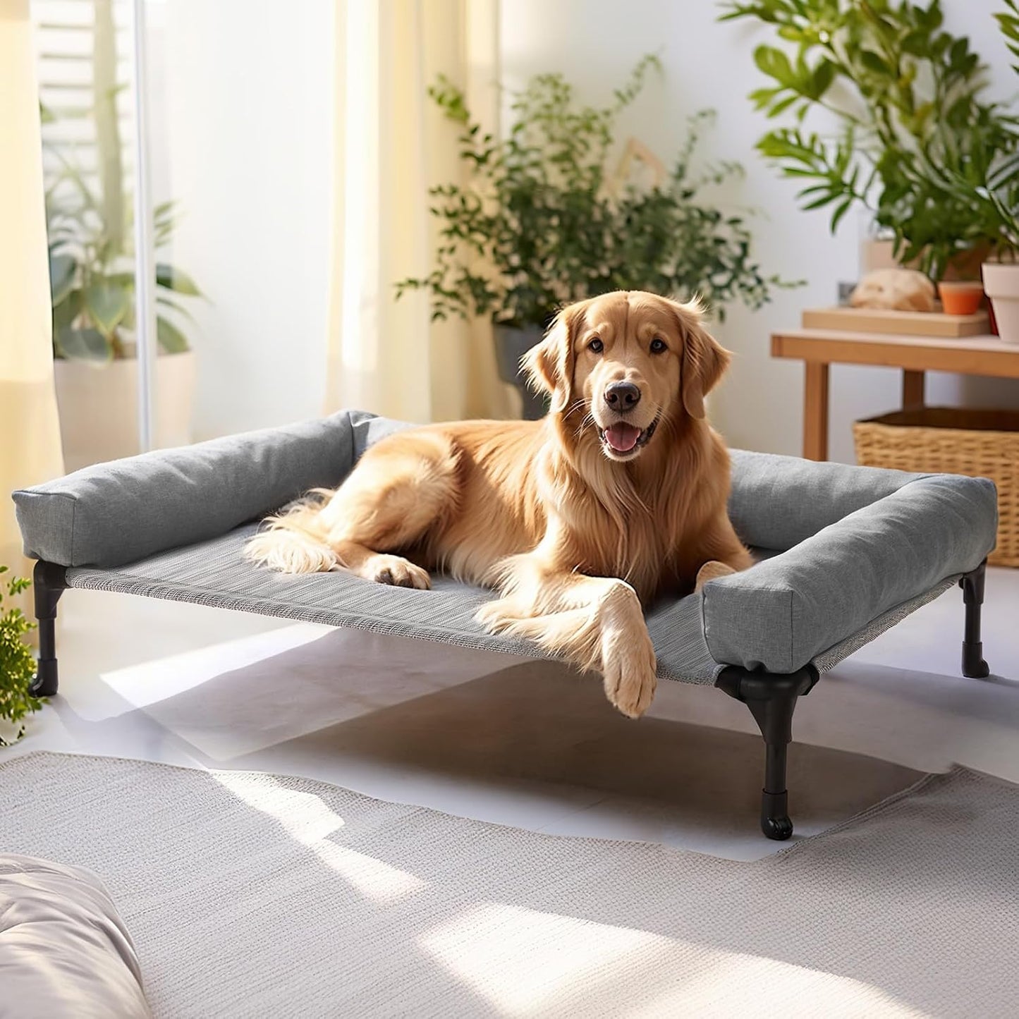 Veehoo Elevated Dog Bed with Removable Bolster – 125 x 83 x 33 cm (Black/Silver)