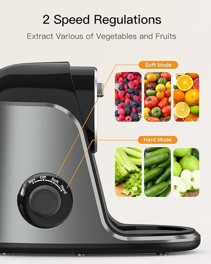 Sboly Slow Juicer JS3007 – Cold Press, 2-Speed with Reverse Function (Used)